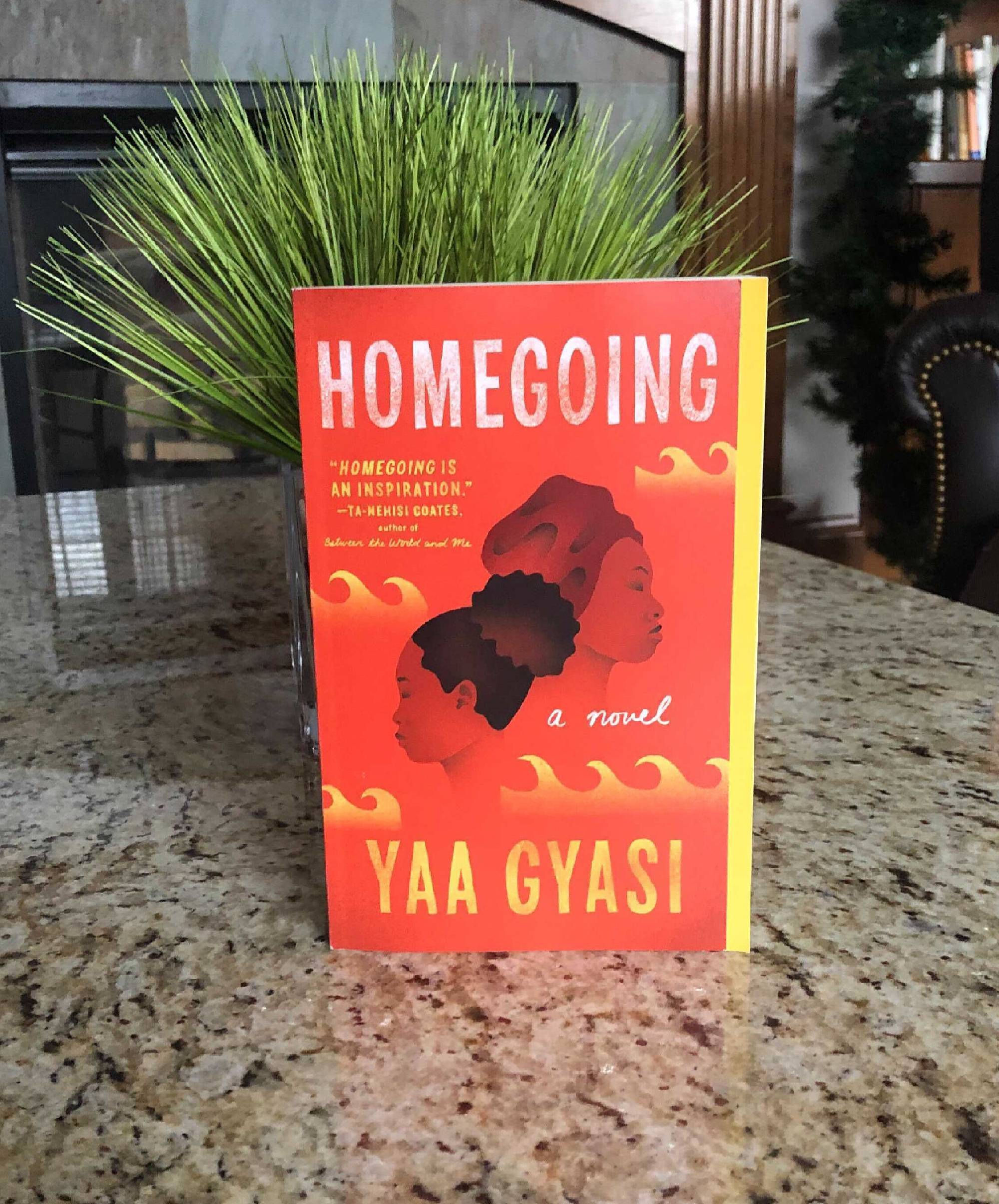 Picture of the Book Homegoing by Yaa Gyasi